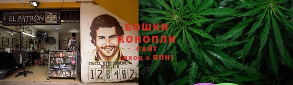крисы Ростов